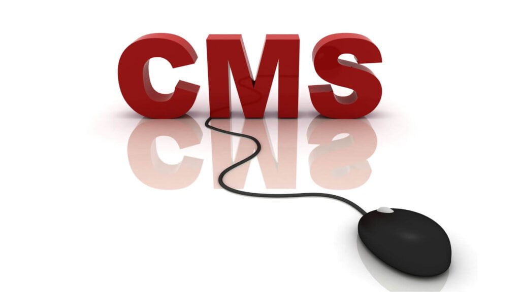 CMS website concept